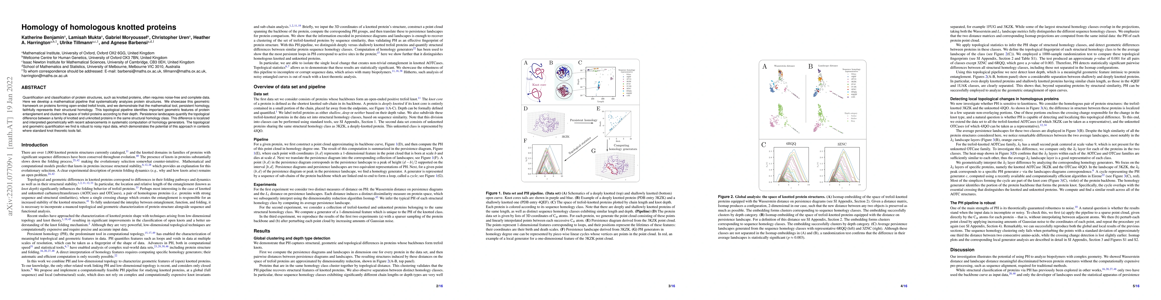 Thumbnail for Homology of homologous knotted proteins