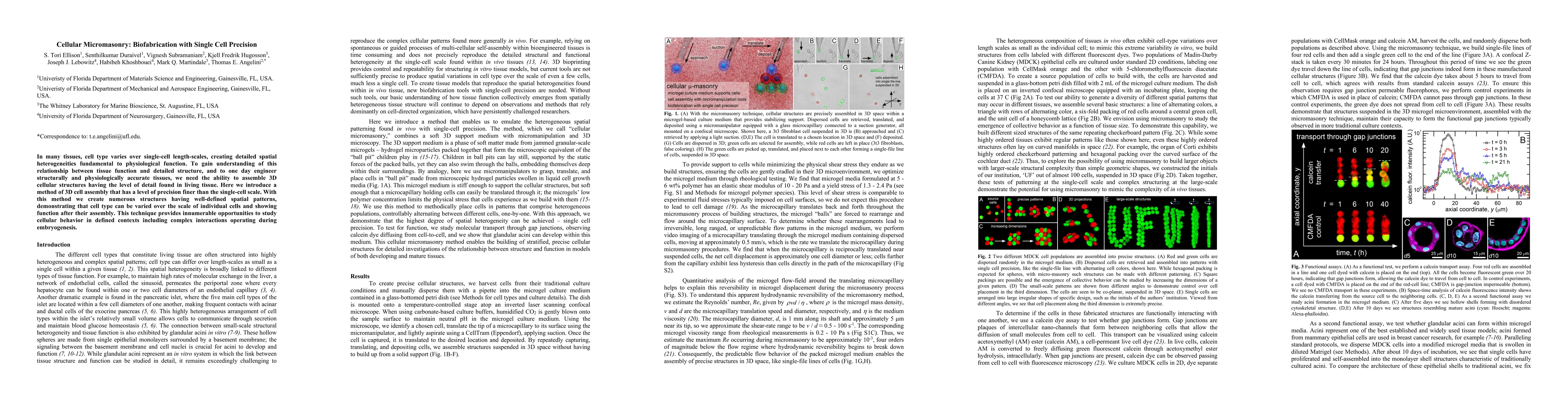Thumbnail for Cellular Micromasonry: Biofabrication with Single Cell Precision