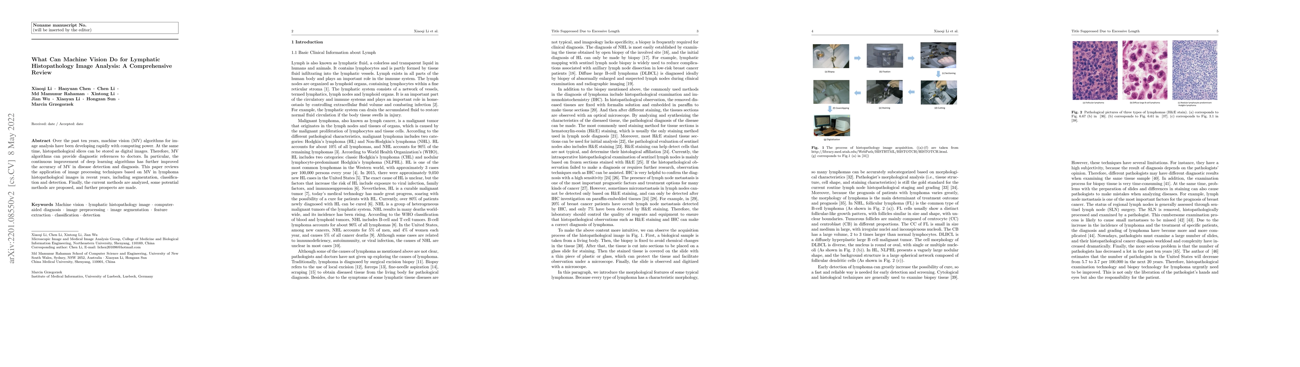 Thumbnail for What Can Machine Vision Do for Lymphatic Histopathology Image Analysis:
  A Comprehensive Review
