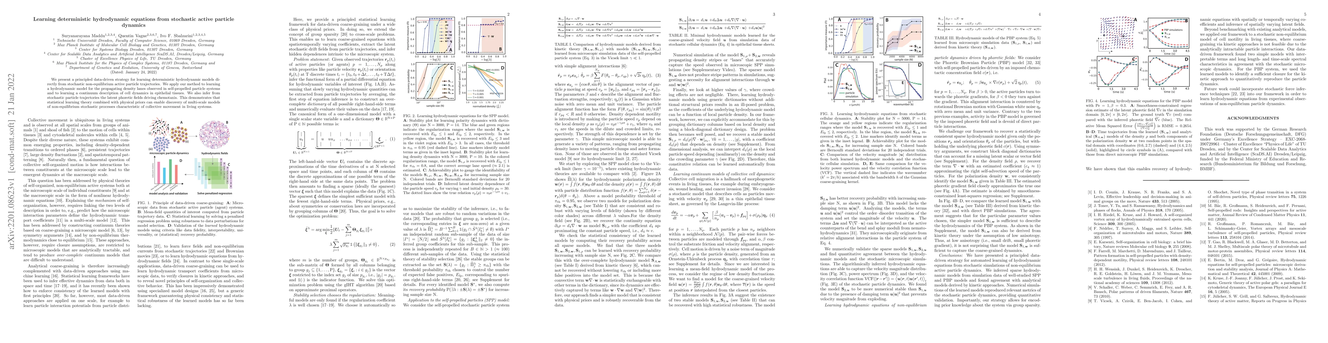 Thumbnail for Learning deterministic hydrodynamic equations from stochastic active
  particle dynamics