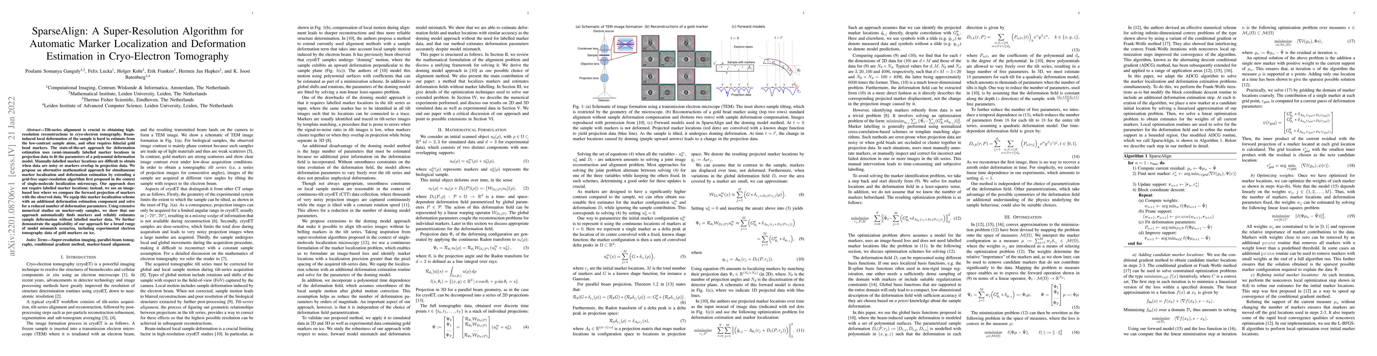 Thumbnail for SparseAlign: A Super-Resolution Algorithm for Automatic Marker
  Localization and Deformation Estimation in Cryo-Electron Tomography