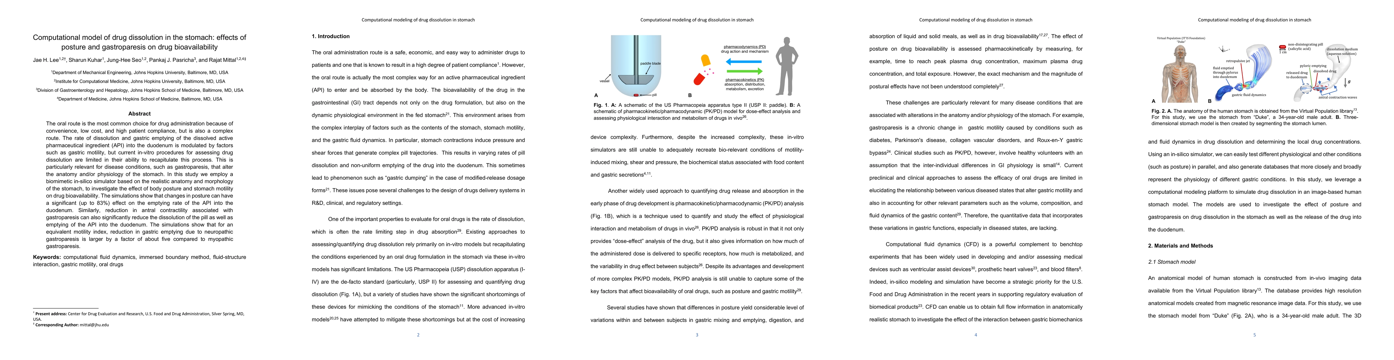 Thumbnail for Computational model of drug dissolution in the stomach: effects of
  posture and gastroparesis on drug bioavailability