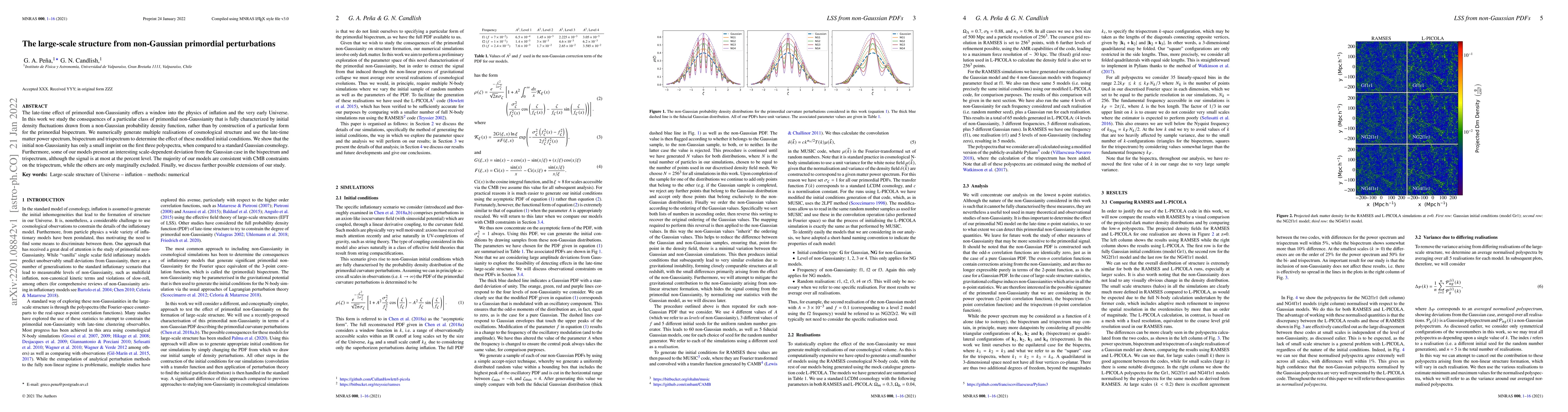 Thumbnail for The large-scale structure from non-Gaussian primordial perturbations