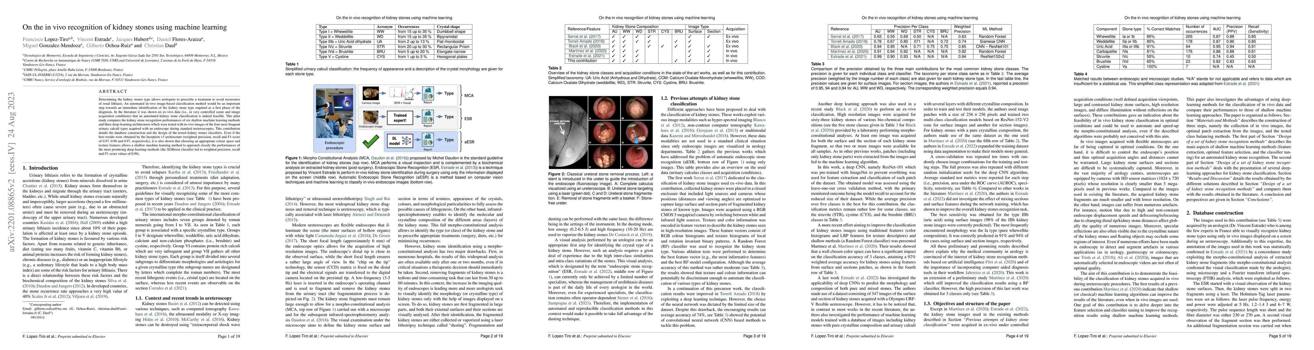 Thumbnail for On the in vivo recognition of kidney stones using machine learning