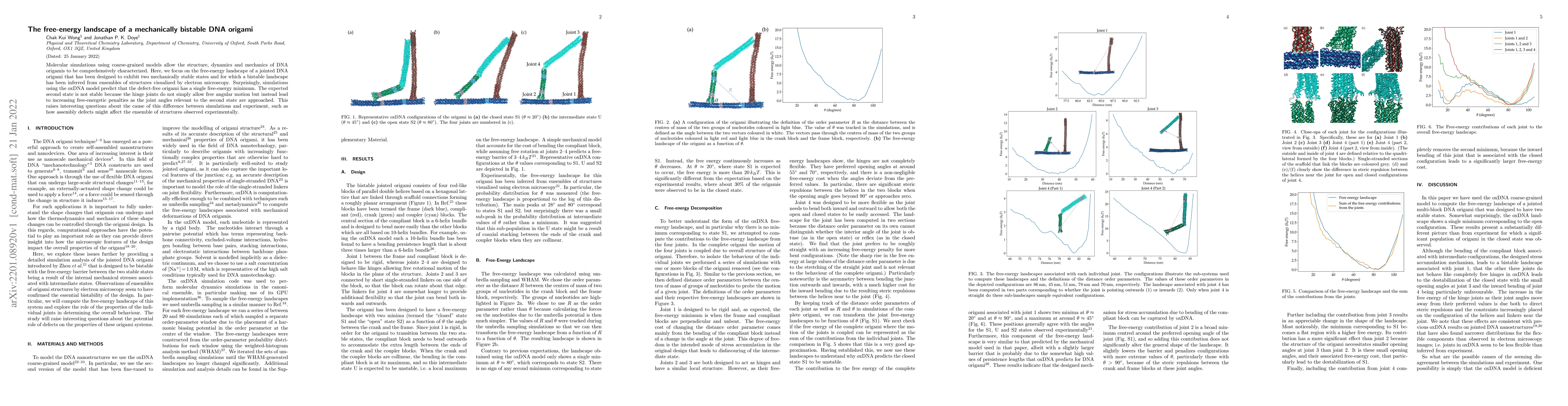 Thumbnail for The free-energy landscape of a mechanically bistable DNA origami