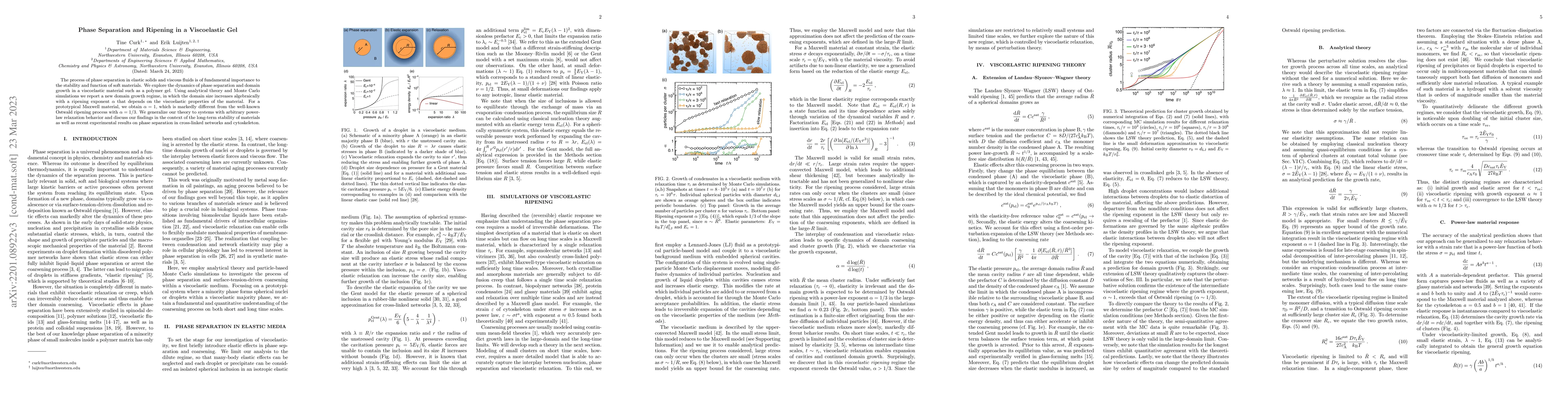 Thumbnail for Phase Separation and Ripening in a Viscoelastic Gel