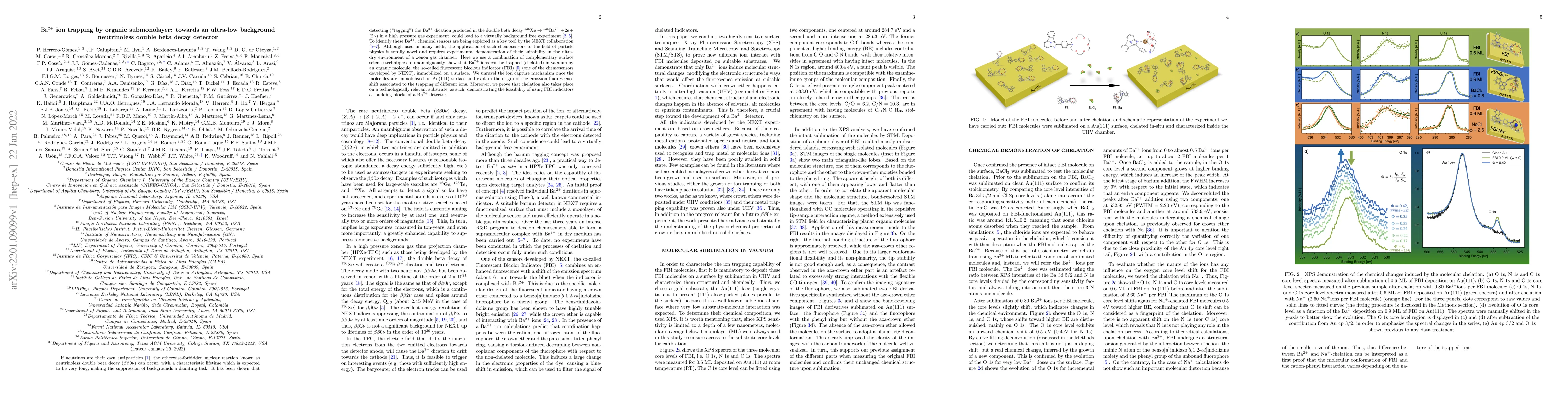 Thumbnail for Ba$^{2+}$ ion trapping by organic submonolayer: towards an ultra-low
  background neutrinoless double beta decay detector