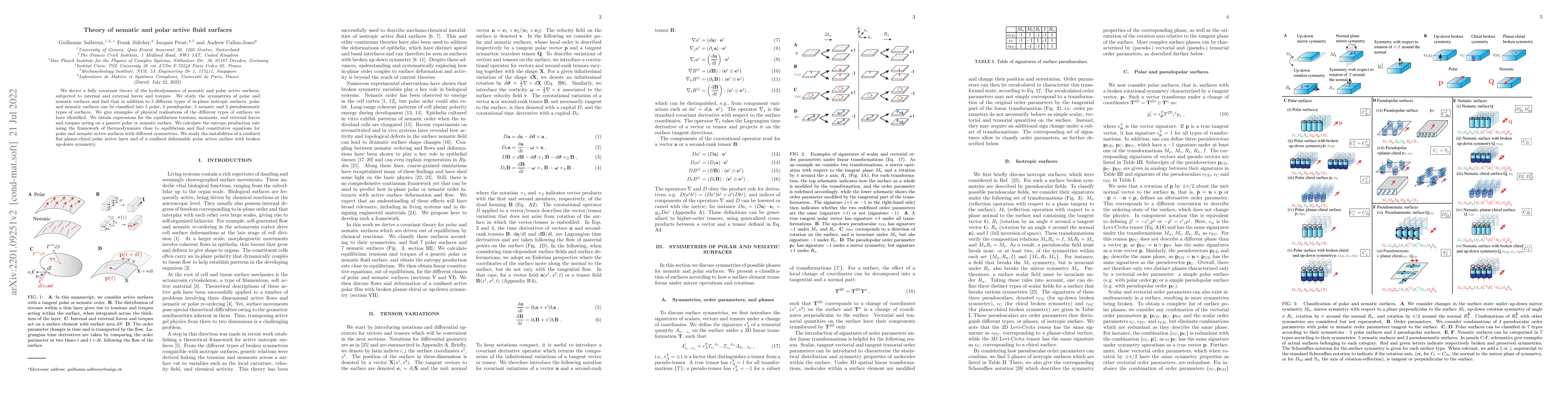 Thumbnail for Theory of nematic and polar active fluid surfaces