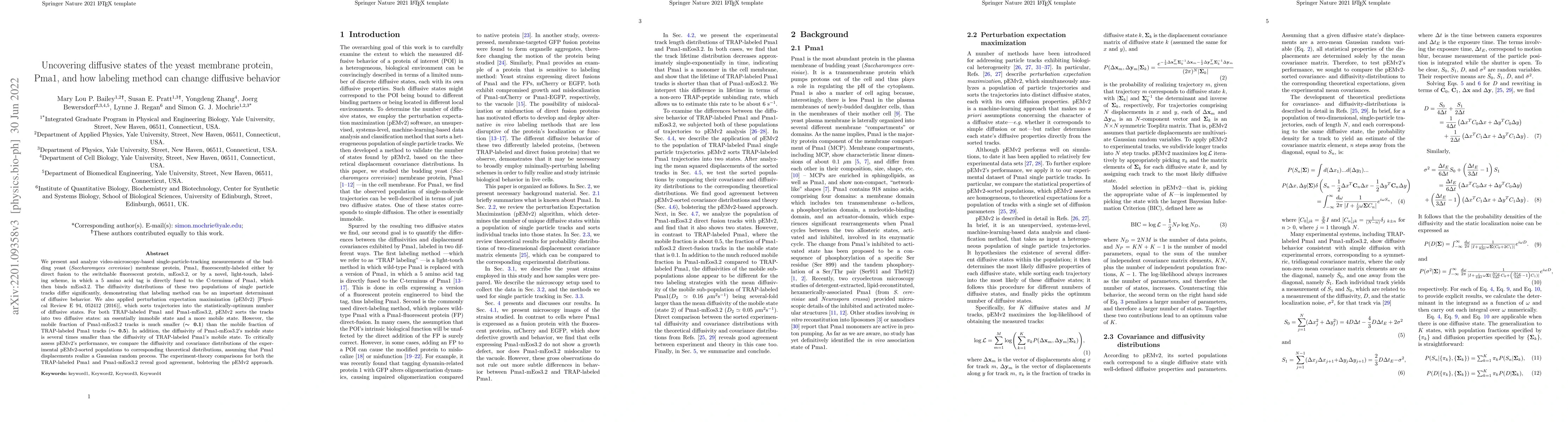 Thumbnail for Uncovering diffusive states of the yeast proton pump, Pma1, and how
  labeling method can change diffusive behavior