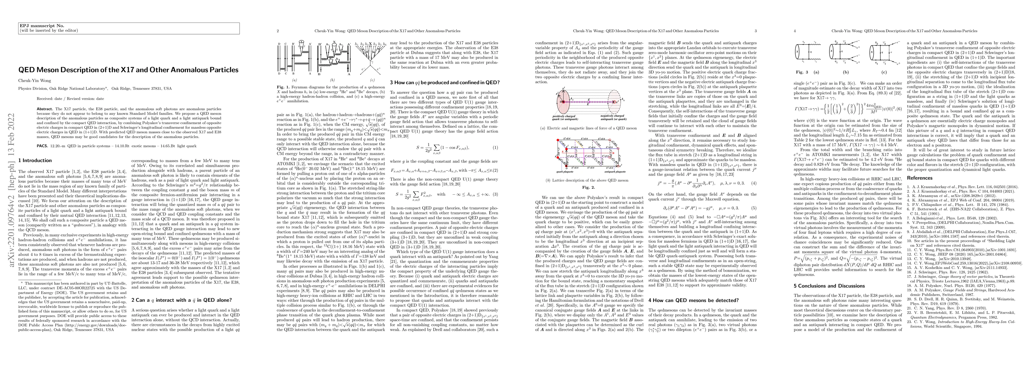 Thumbnail for QED Meson Description of the X17 and Other Anomalous Particles