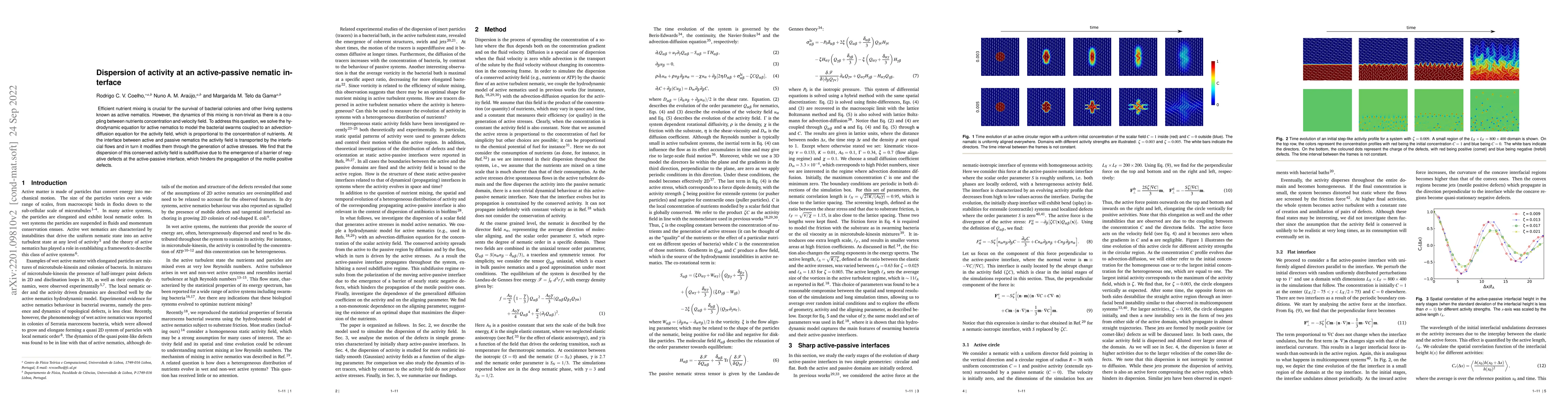 Thumbnail for Dispersion of activity at an active-passive nematic interface