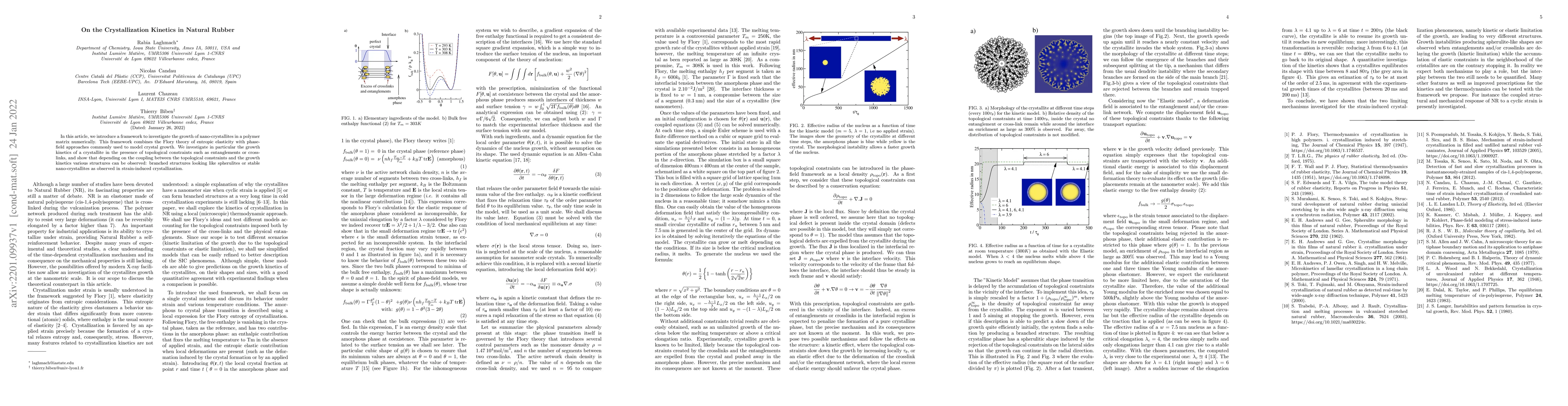 Thumbnail for On the crystallization Kinetics in Natural Rubber