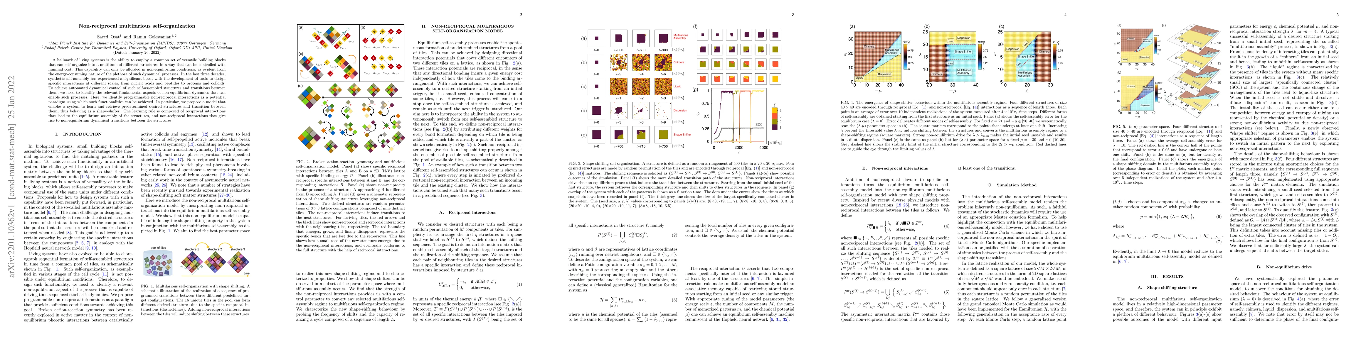 Thumbnail for Non-reciprocal multifarious self-organization