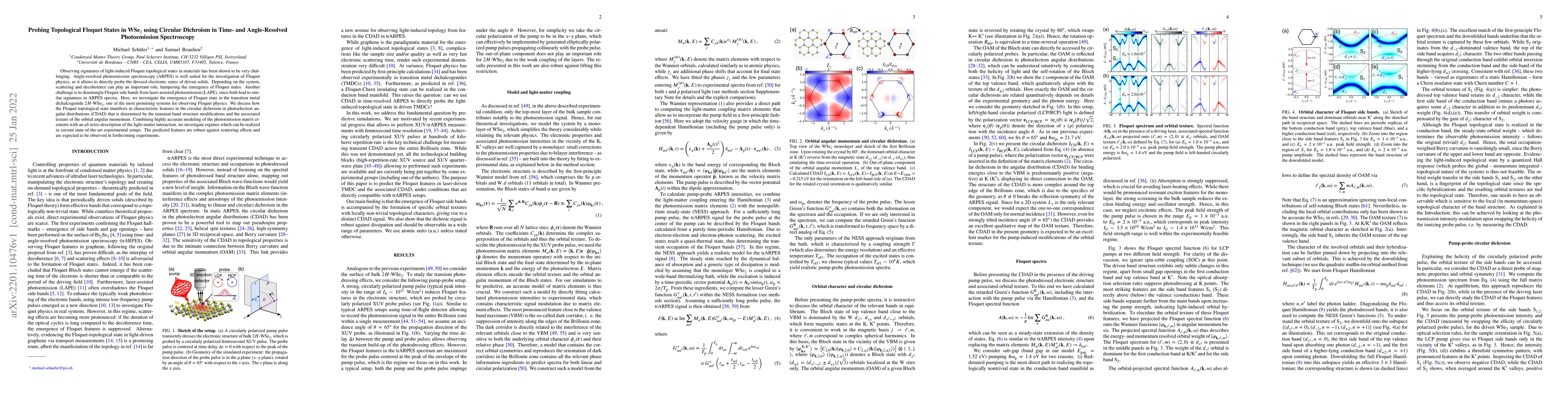 Thumbnail for Probing Topological Floquet States in WSe$_2$ using Circular Dichroism
  in Time- and Angle-Resolved Photoemission Spectroscopy