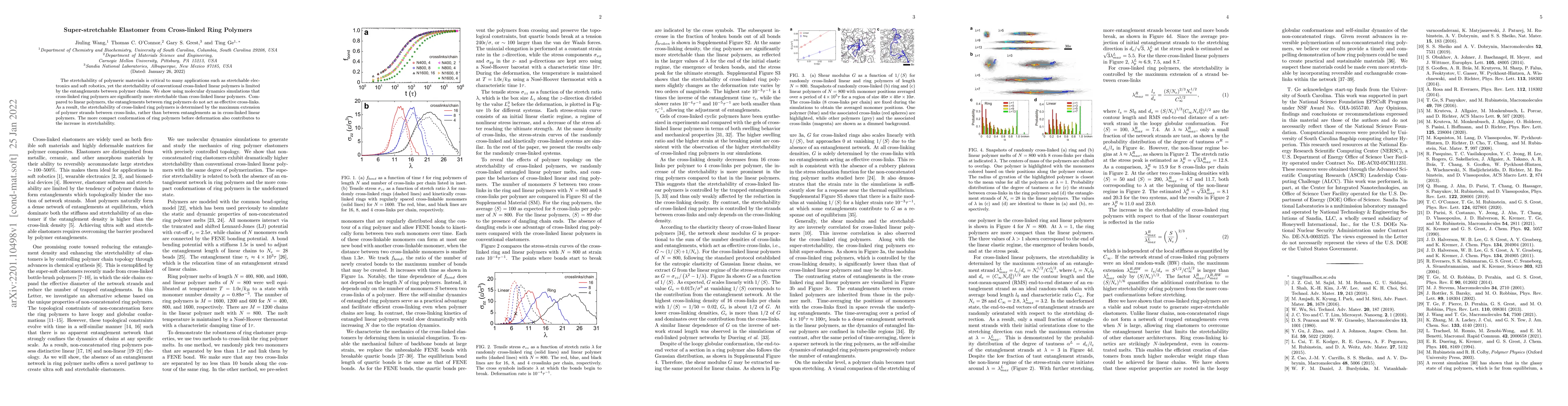 Thumbnail for Super-stretchable Elastomer from Cross-linked Ring Polymers
