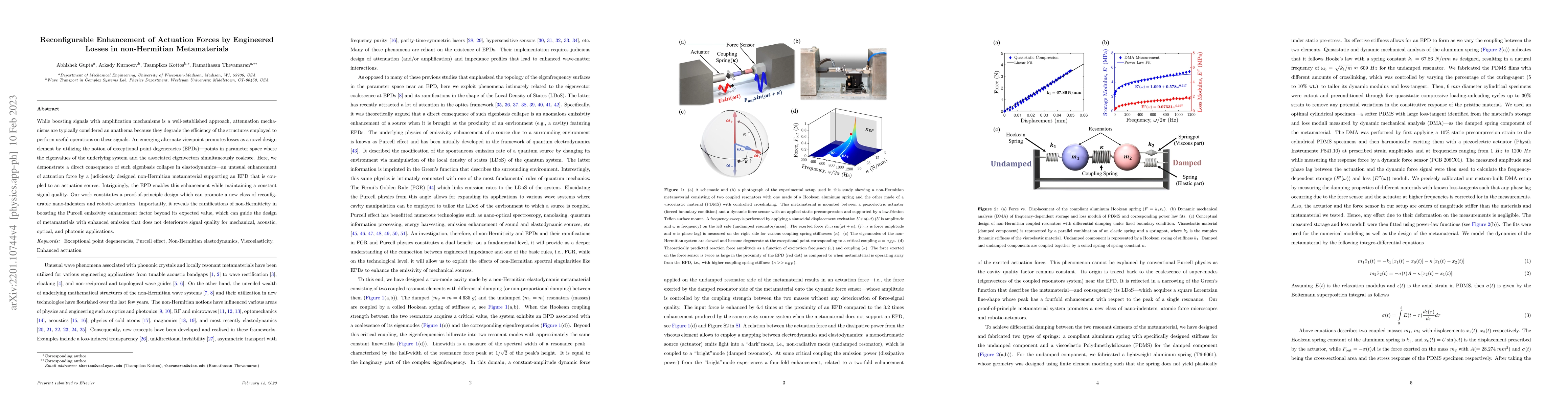 Thumbnail for Reconfigurable Enhancement of Actuation Forces by Engineered Losses in
  non-Hermitian Metamaterials