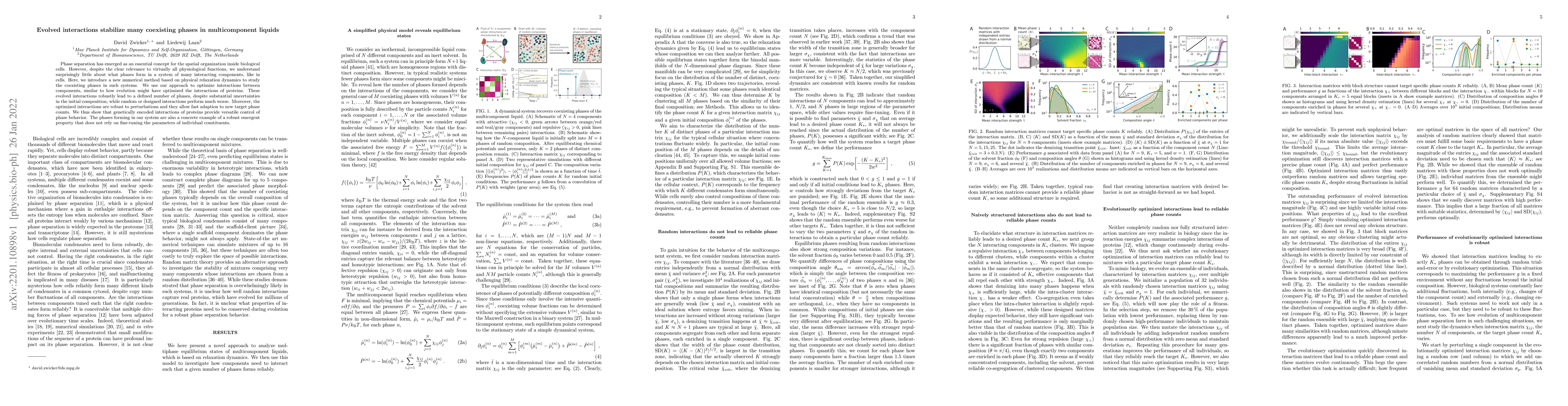 Thumbnail for Evolved interactions stabilize many coexisting phases in multicomponent
  liquids