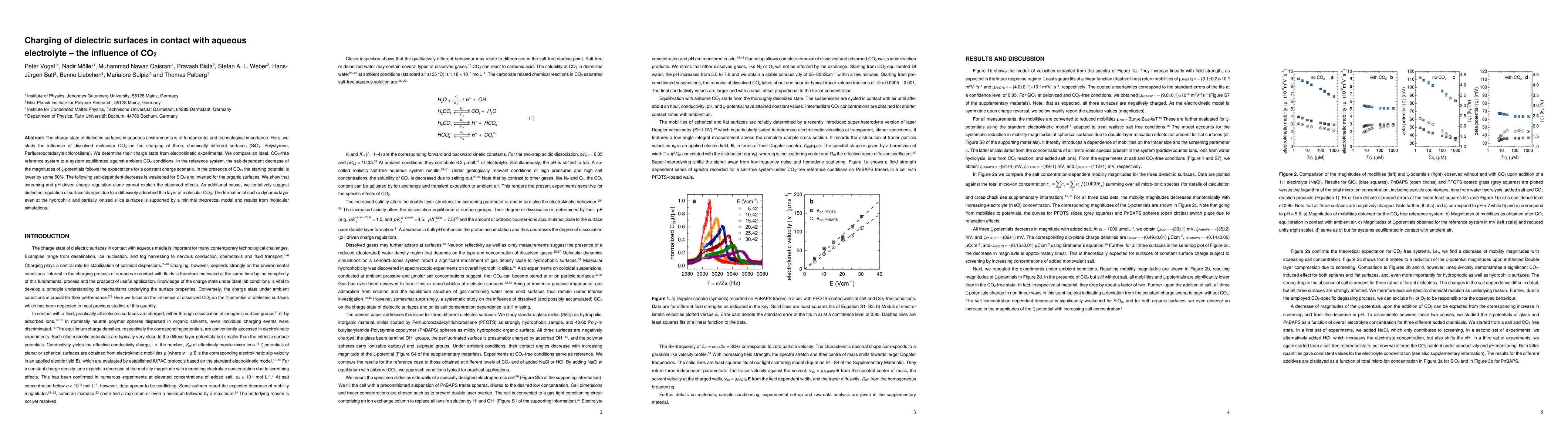 Thumbnail for Charging of dielectric surfaces in contact with aqueous electrolyte --
  the influence of CO$_2$