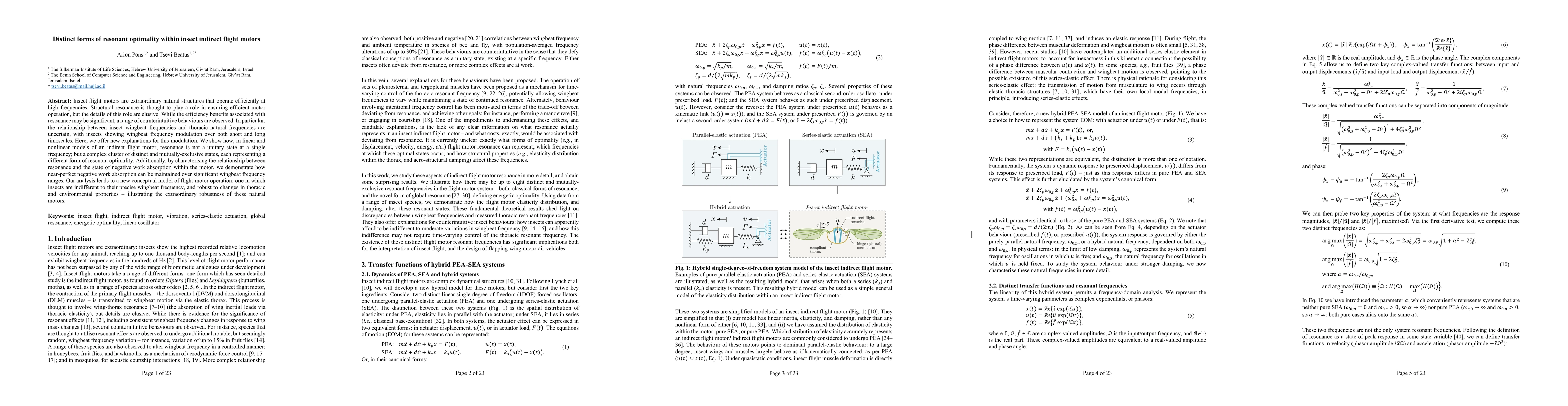 Thumbnail for Distinct forms of resonant optimality within insect indirect flight
  motors