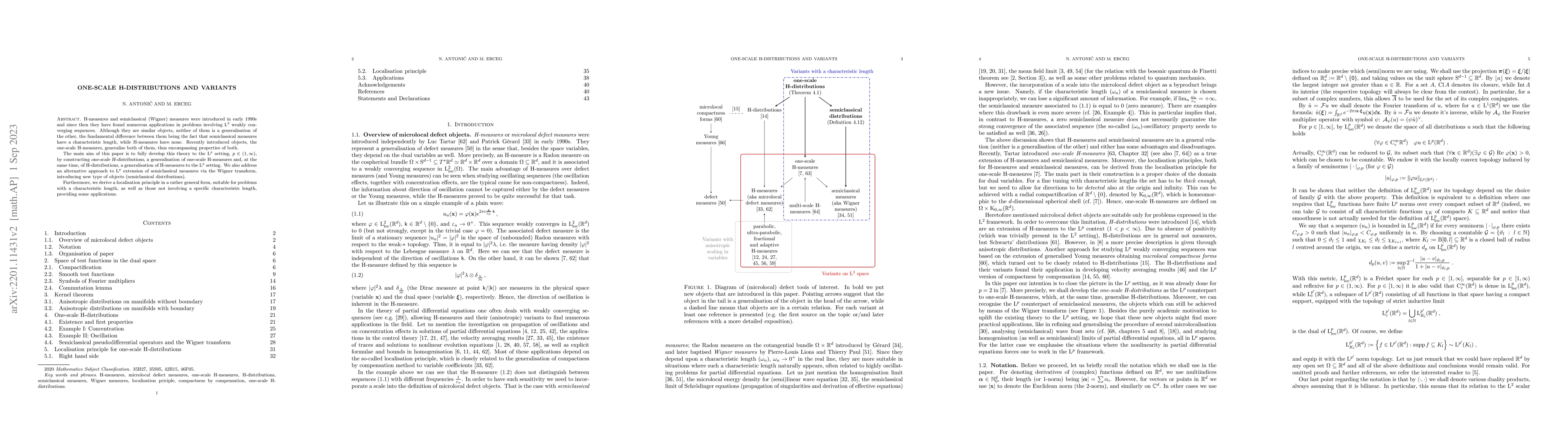 Thumbnail for One-scale H-distributions and variants