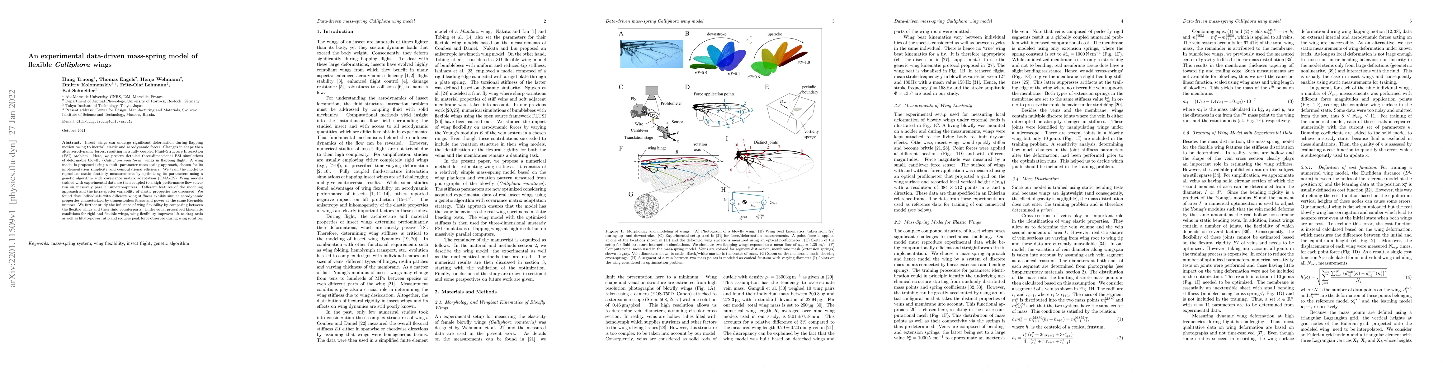 Thumbnail for An experimental data-driven mass-spring model of flexible Calliphora
  wings