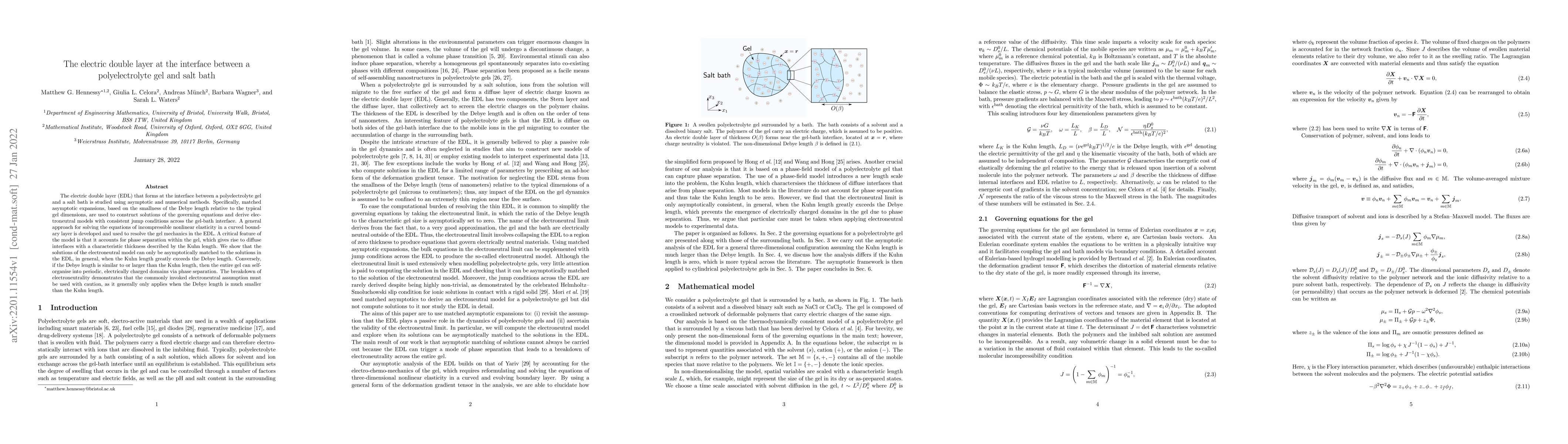 Thumbnail for The electric double layer at the interface between a polyelectrolyte gel
  and salt bath