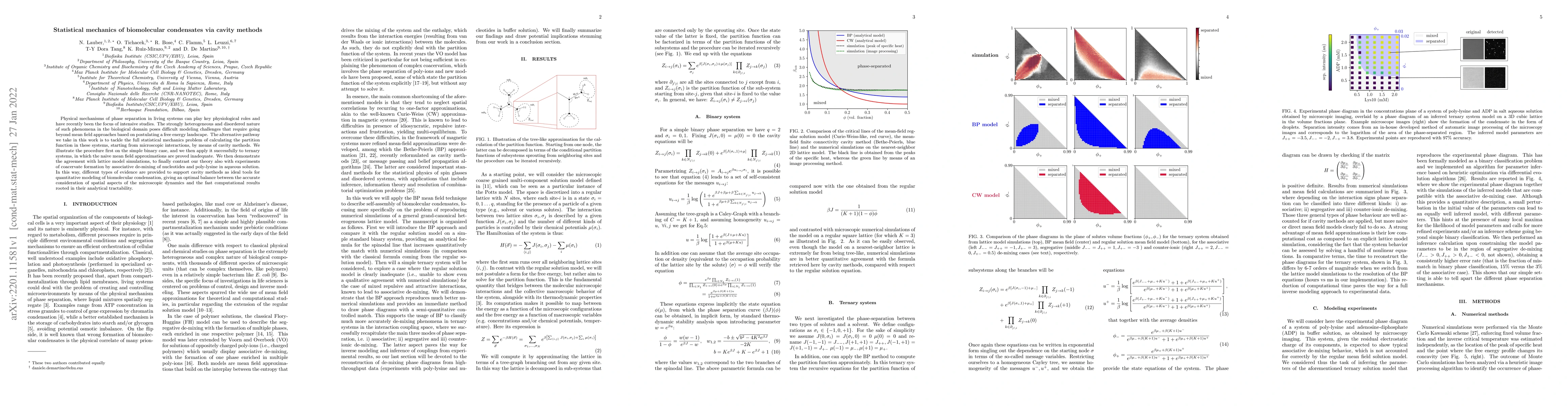 Thumbnail for Statistical mechanics of biomolecular condensates via cavity methods