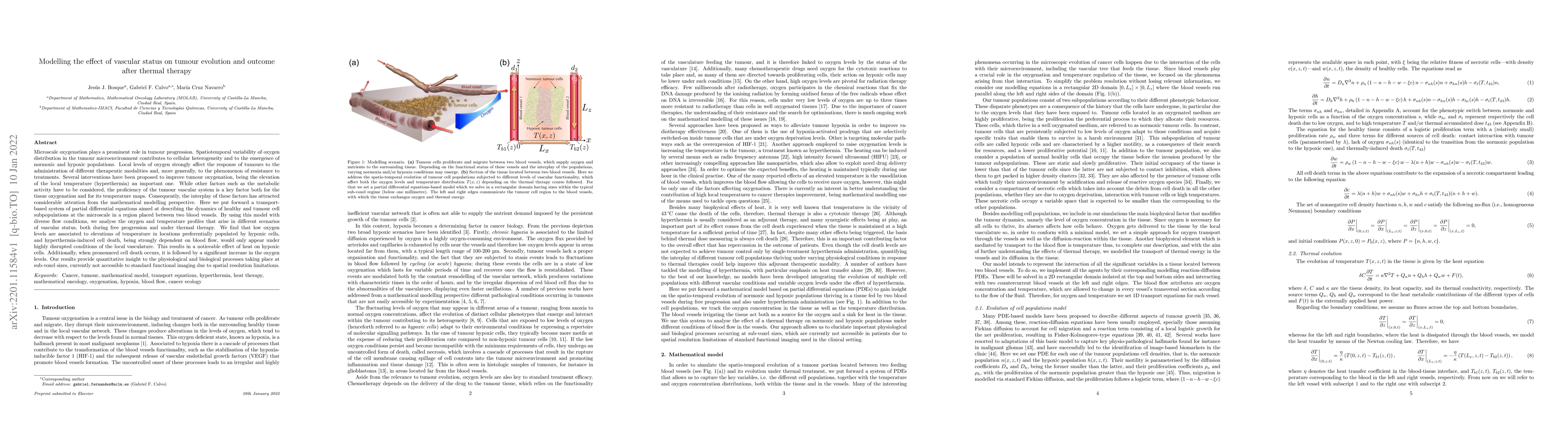 Thumbnail for Modelling the effect of vascular status on tumour evolution and outcome
  after thermal therapy