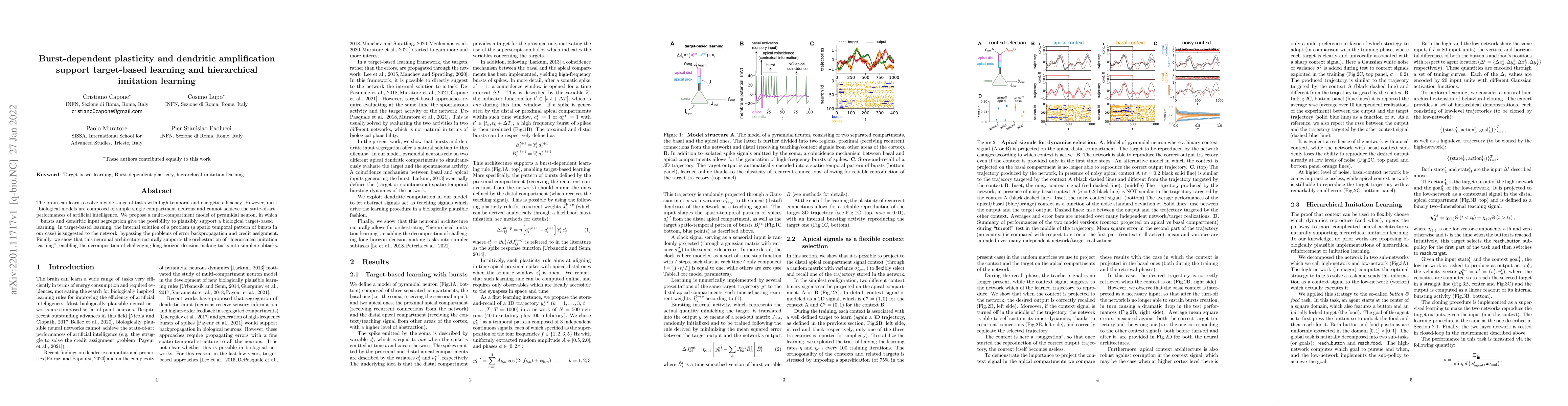 Thumbnail for Burst-dependent plasticity and dendritic amplification support
  target-based learning and hierarchical imitation learning