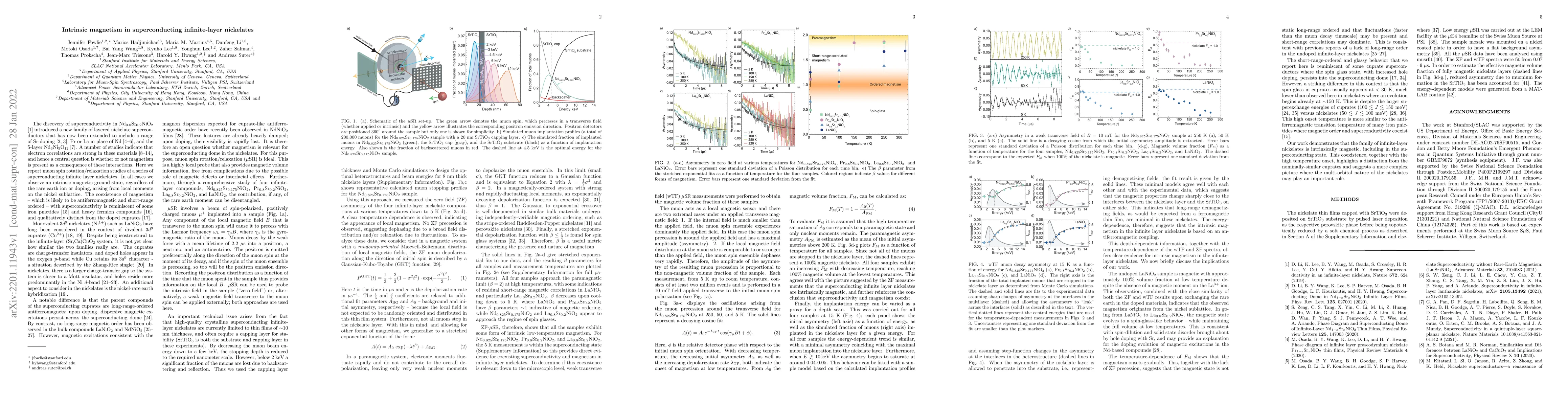 Thumbnail for Intrinsic magnetism in superconducting infinite-layer nickelates