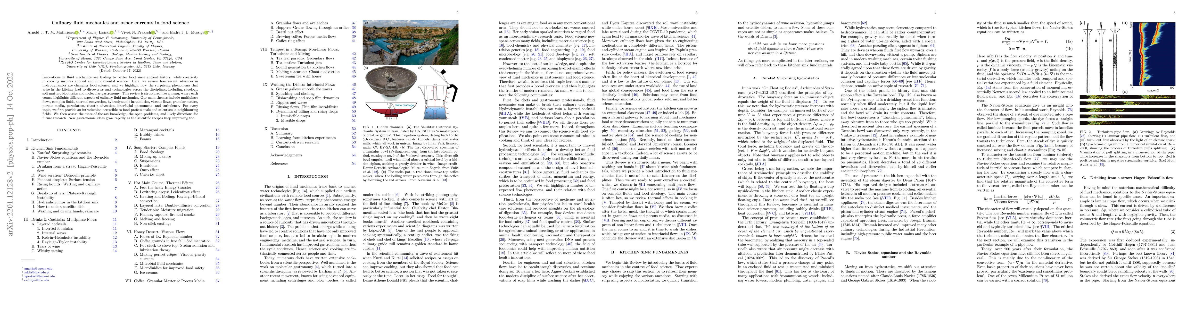 Thumbnail for Culinary fluid mechanics and other currents in food science