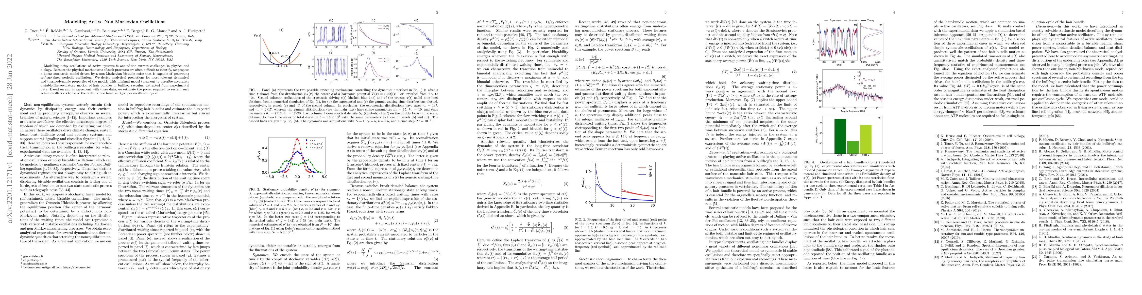 Thumbnail for Modelling Active Non-Markovian Oscillations