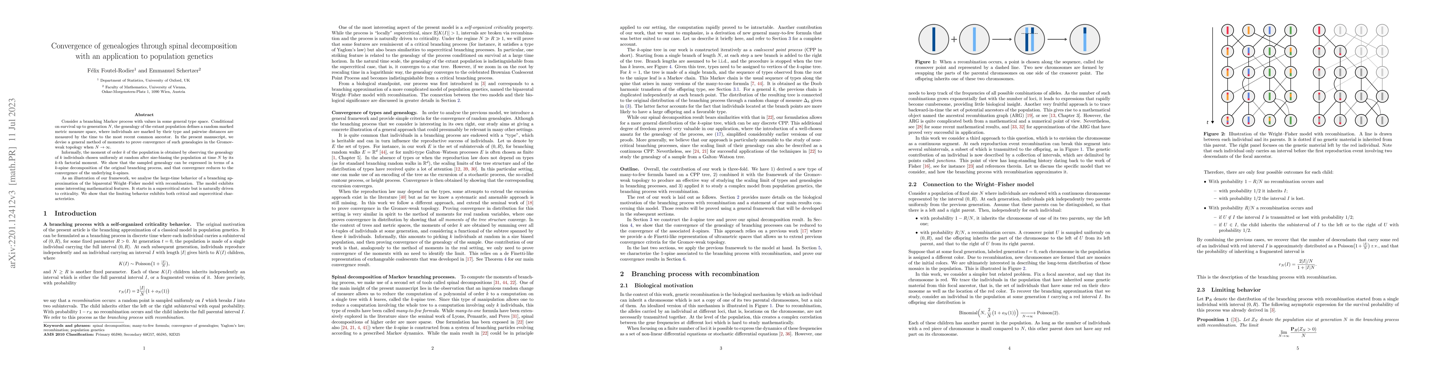 Thumbnail for Convergence of genealogies through spinal decomposition with an
  application to population genetics