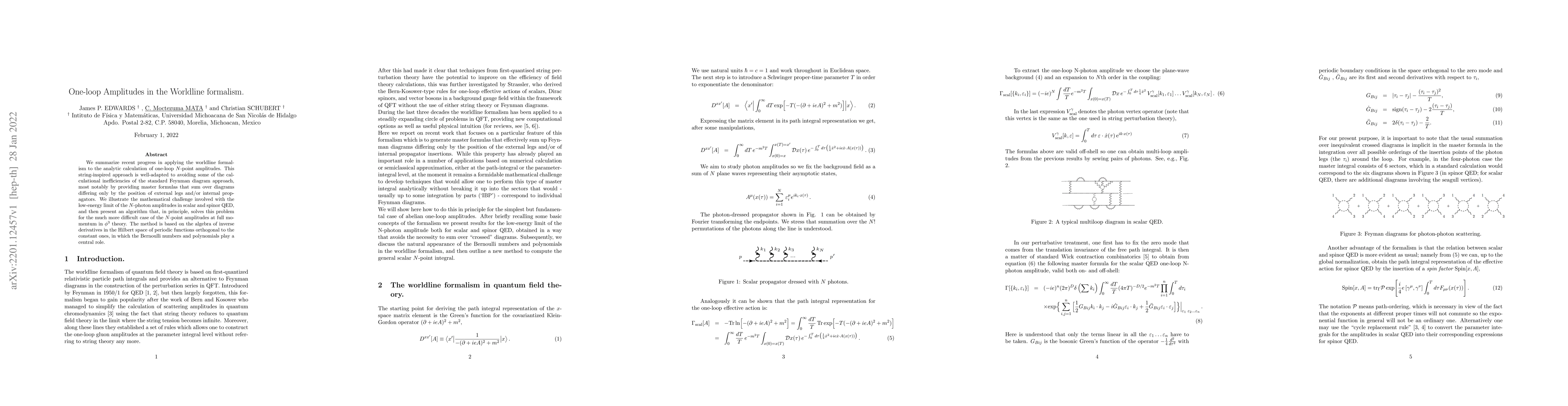 Thumbnail for One-loop Amplitudes in the Worldline Formalism
