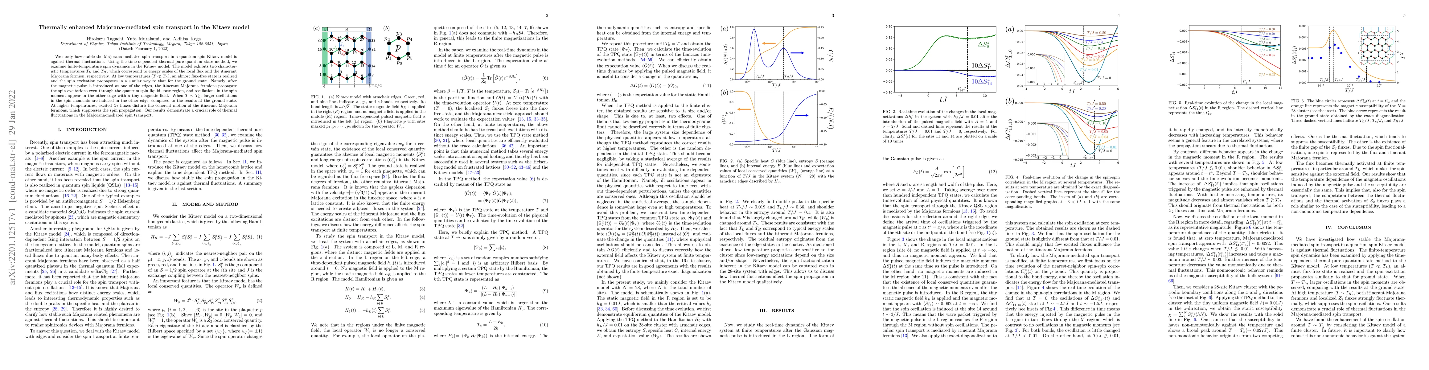 Thumbnail for Thermally enhanced Majorana-mediated spin transport in the Kitaev model