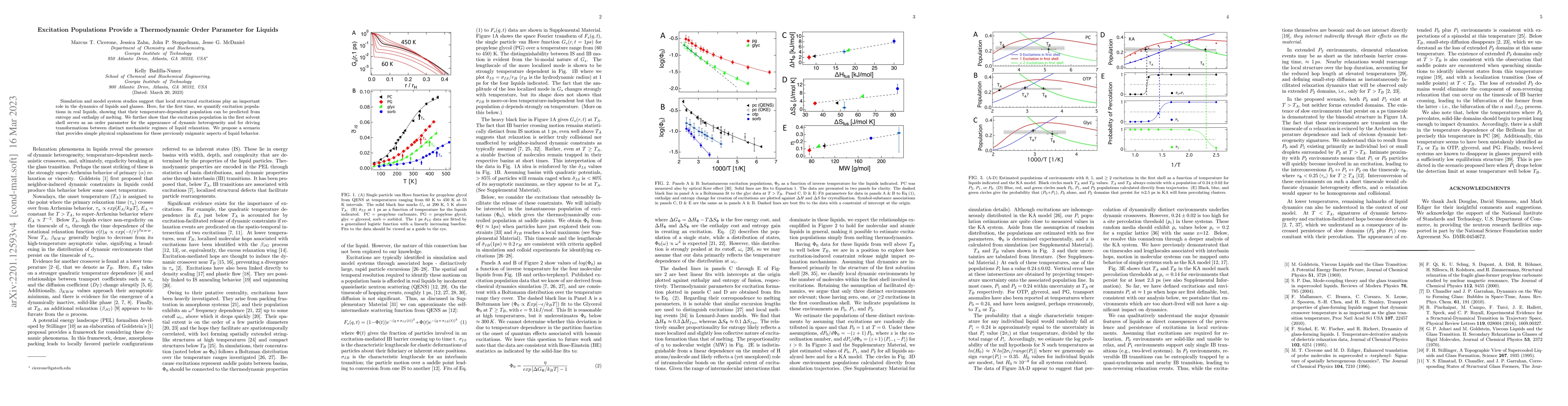 Thumbnail for Excitation Populations Provide a Thermodynamic Order Parameter for
  Liquids