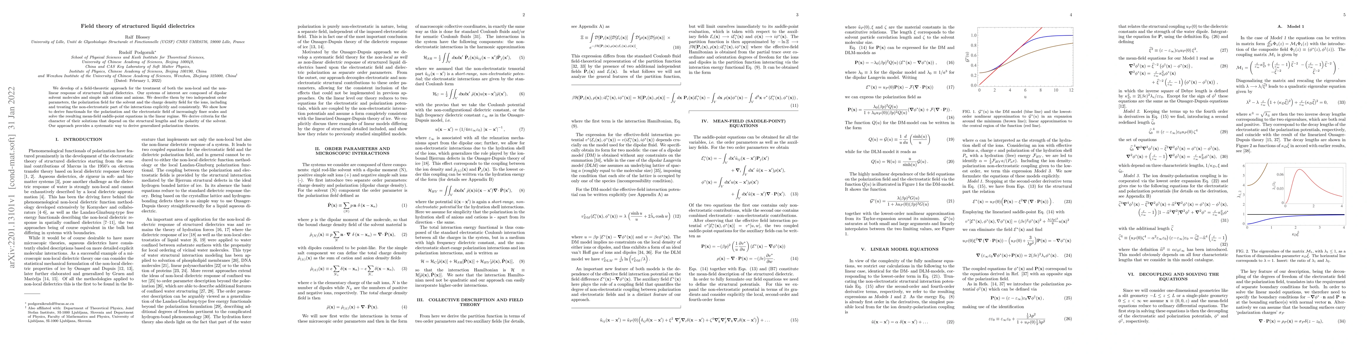 Thumbnail for Field theory of structured liquid dielectrics