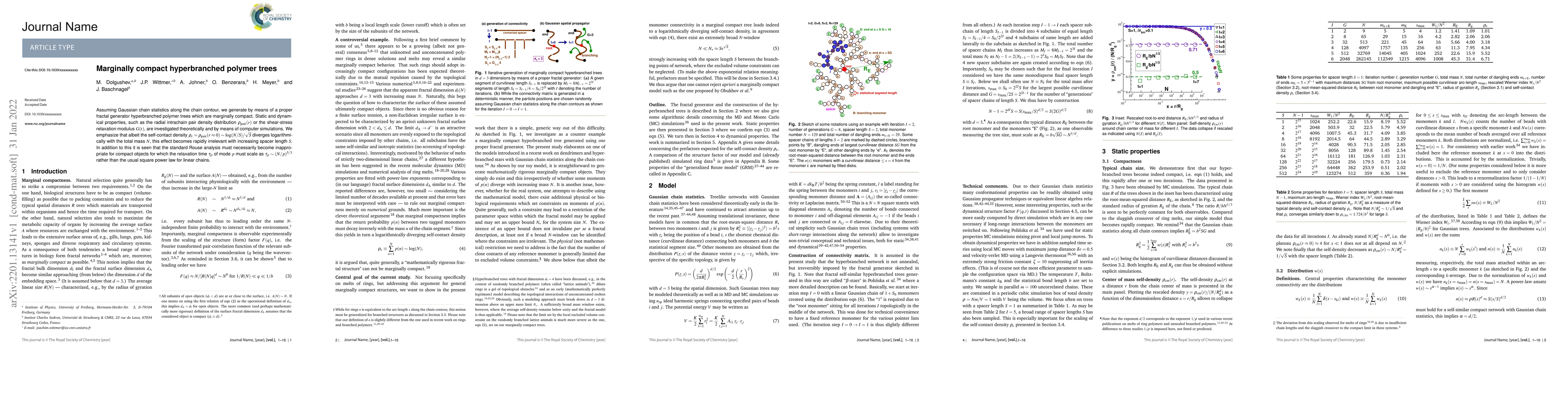 Thumbnail for Marginally compact hyperbranched polymer trees