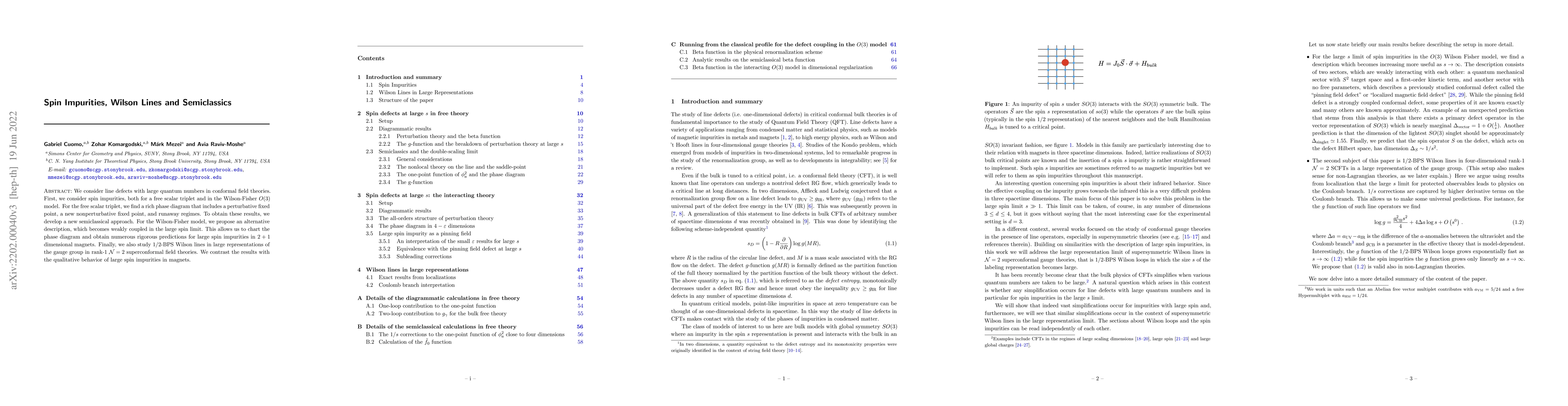 Thumbnail for Spin Impurities, Wilson Lines and Semiclassics