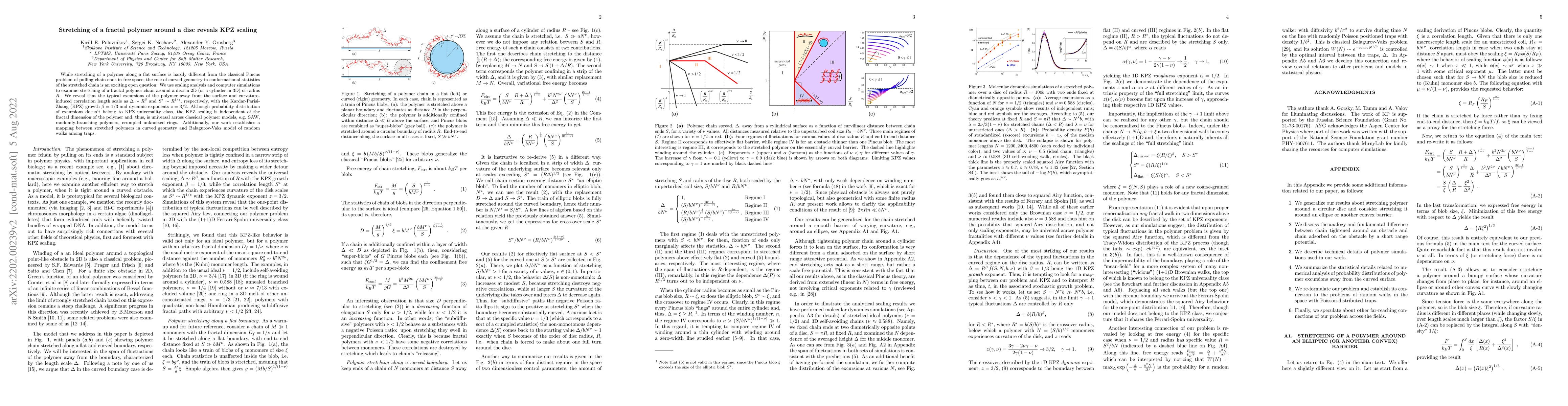 Thumbnail for Stretching of a fractal polymer around a disc reveals KPZ-like
  statistics