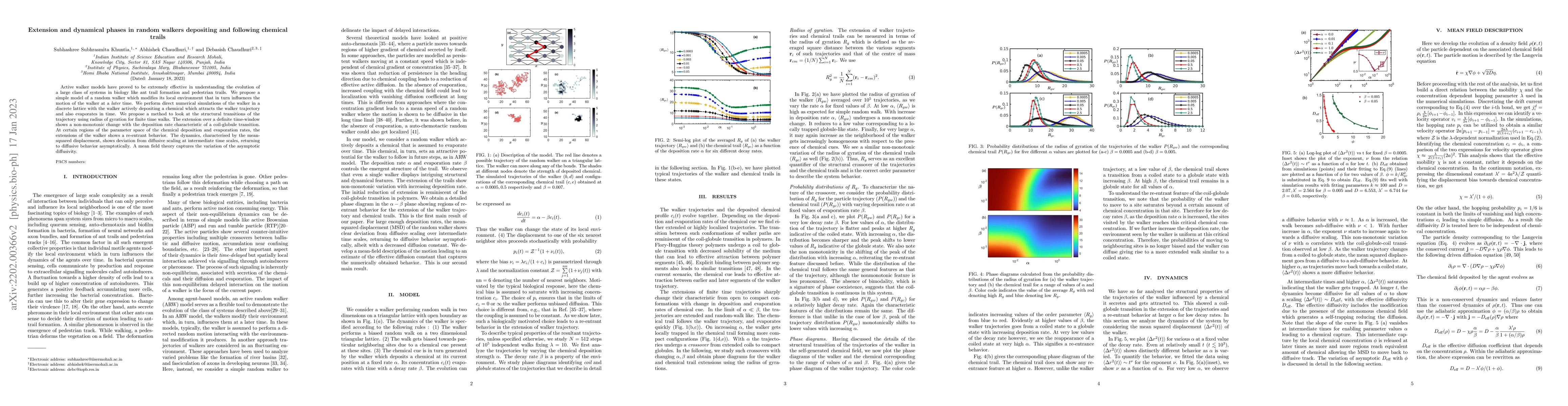 Thumbnail for Extension and dynamical phases in random walkers depositing and
  following chemical trails