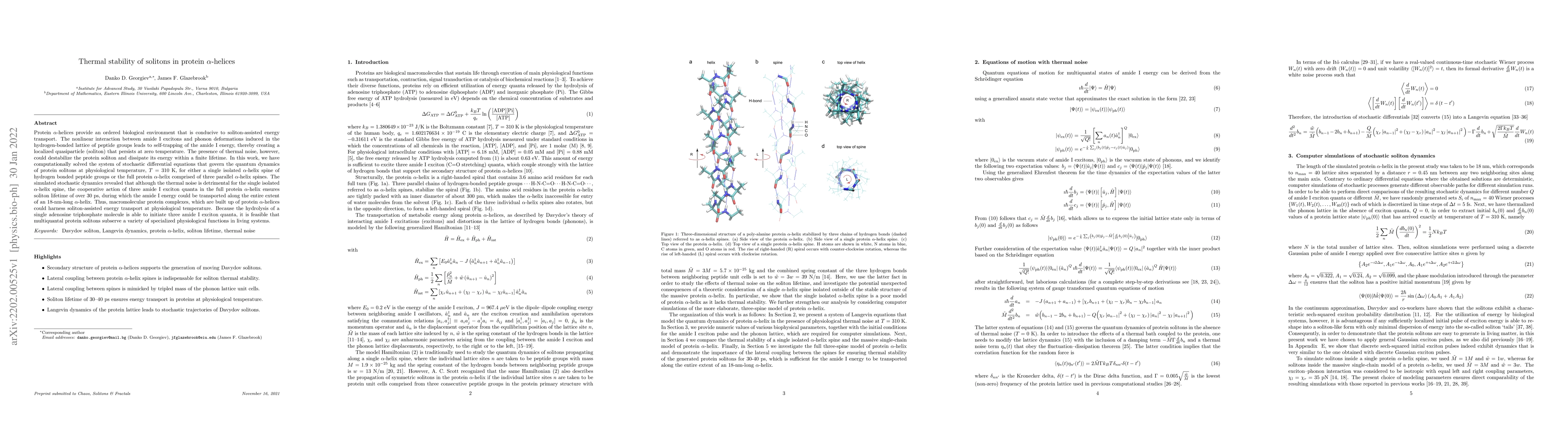 Thumbnail for Thermal stability of solitons in protein $\alpha$-helices