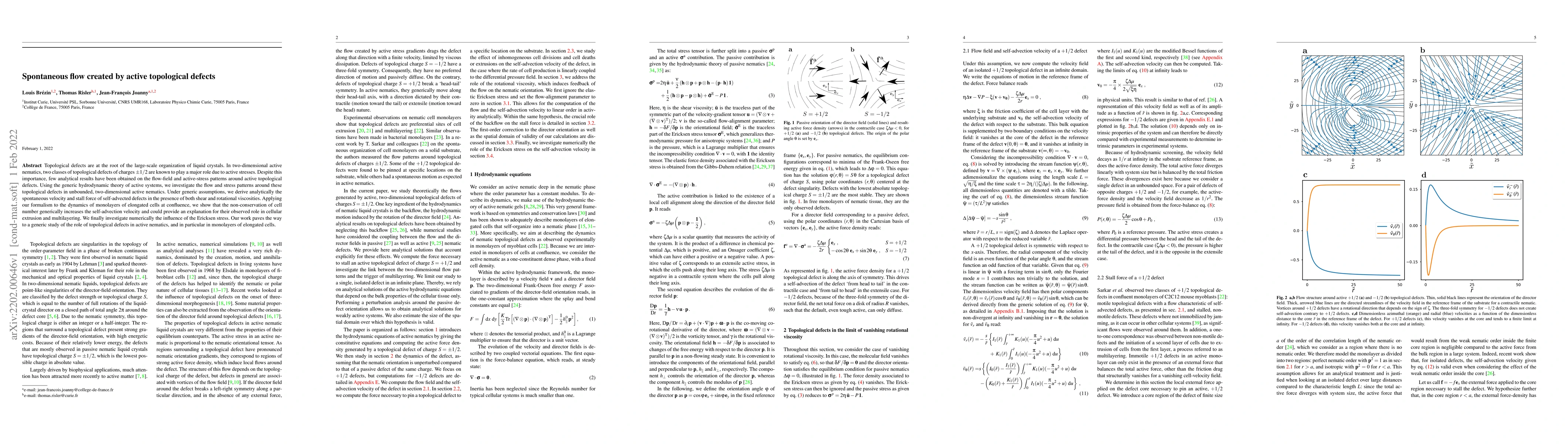 Thumbnail for Spontaneous flow created by active topological defects