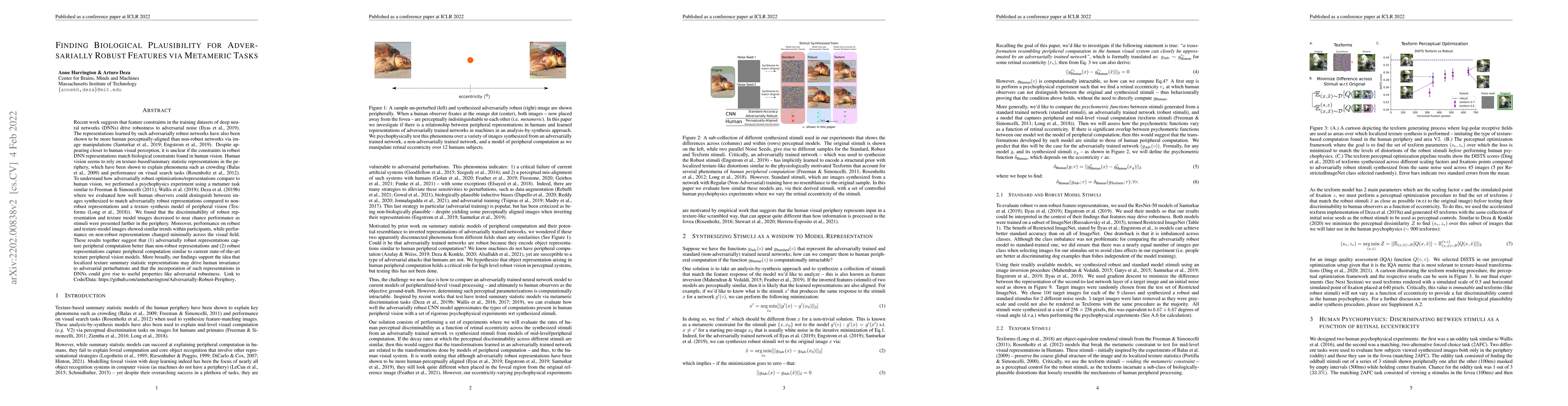 Thumbnail for Finding Biological Plausibility for Adversarially Robust Features via
  Metameric Tasks
