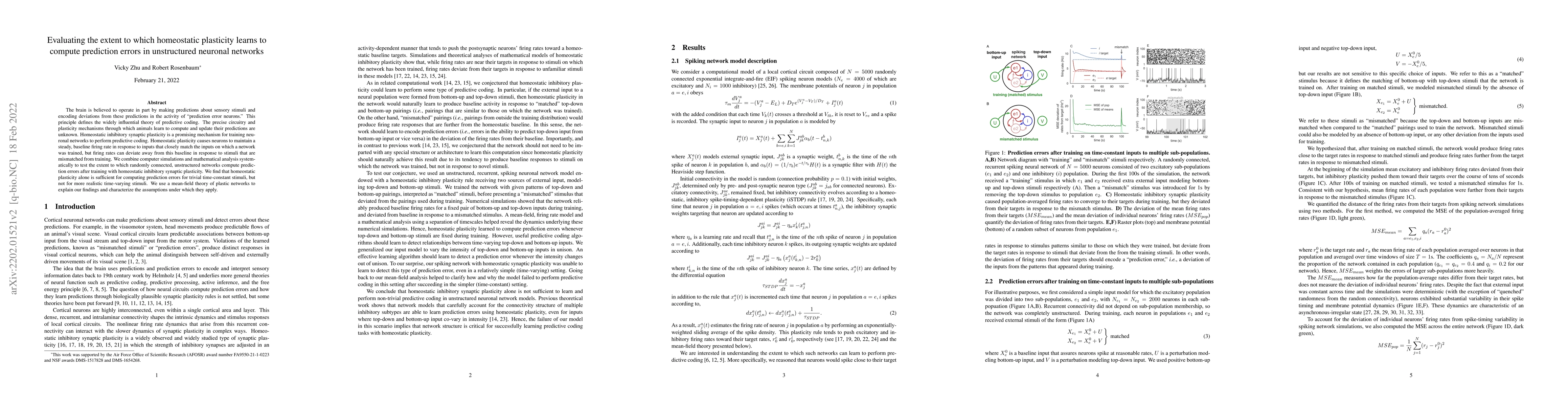 Thumbnail for Evaluating the extent to which homeostatic plasticity learns to compute
  prediction errors in unstructured neuronal networks