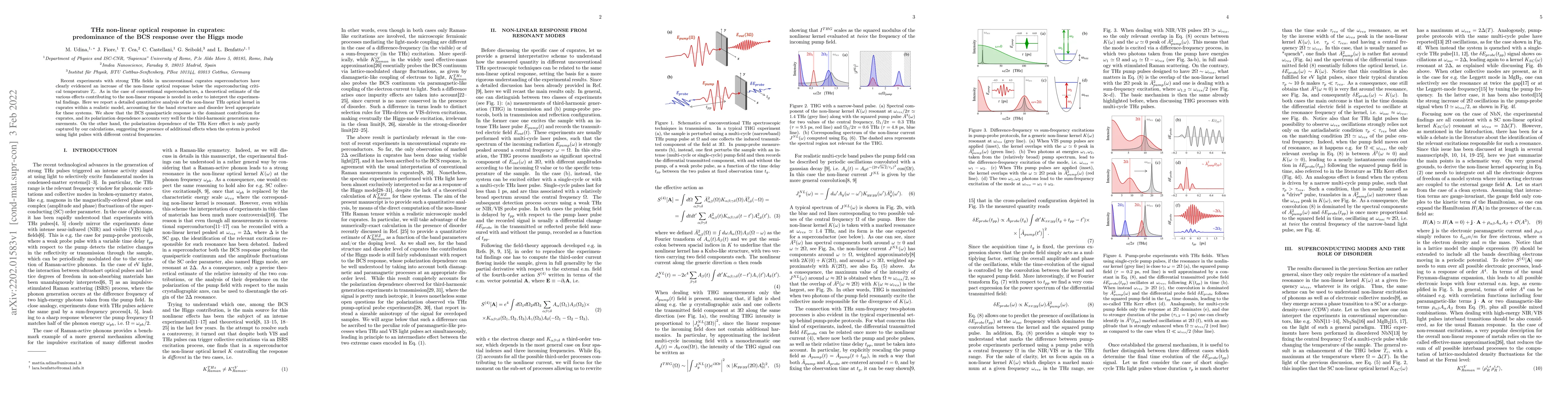 Thumbnail for THz non-linear optical response in cuprates: predominance of the BCS
  response over the Higgs mode