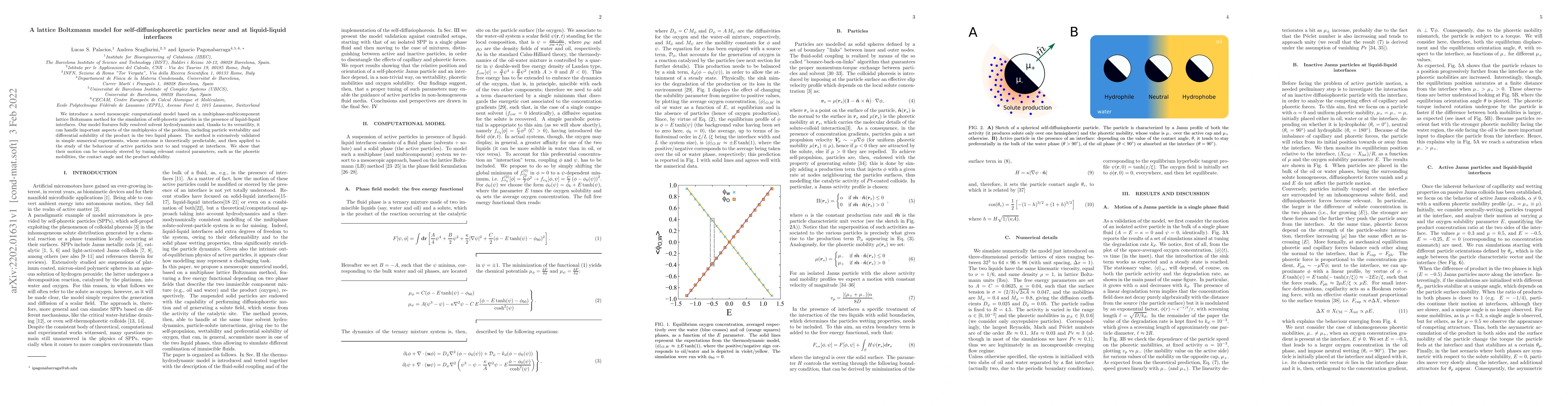 Thumbnail for A lattice Boltzmann model for self-diffusiophoretic particles near and
  at liquid-liquid interfaces