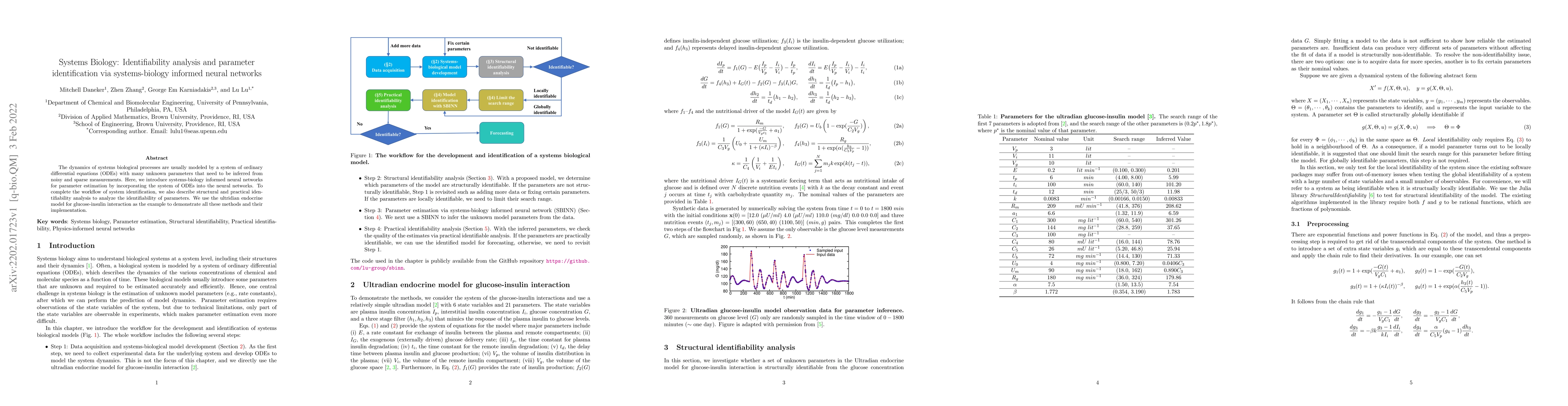 Thumbnail for Systems Biology: Identifiability analysis and parameter identification
  via systems-biology informed neural networks