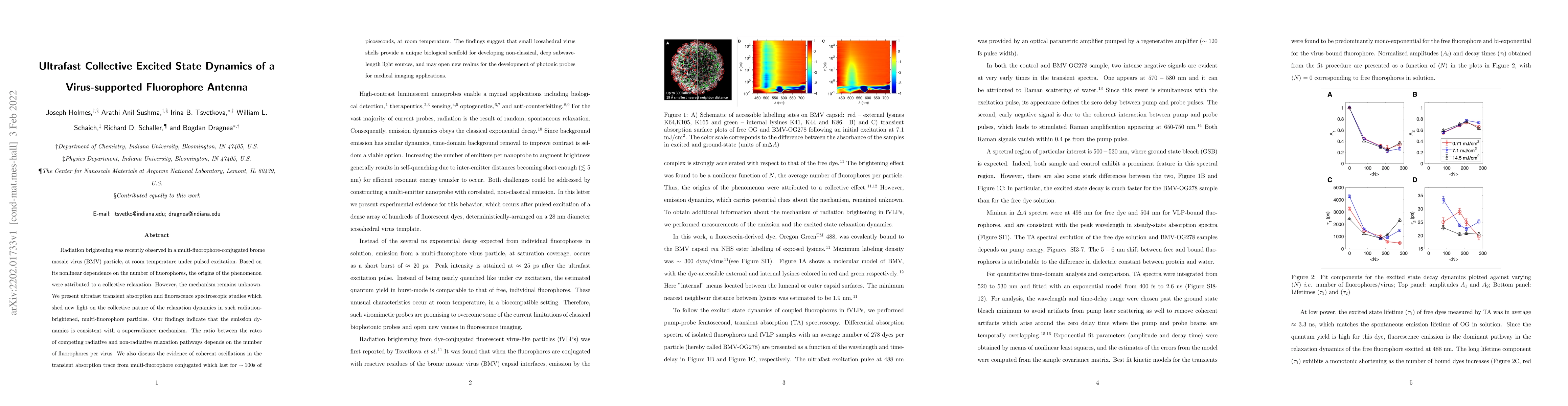 Thumbnail for Ultrafast Collective Excited State Dynamics of a Virus-supported
  Fluorophore Antenna
