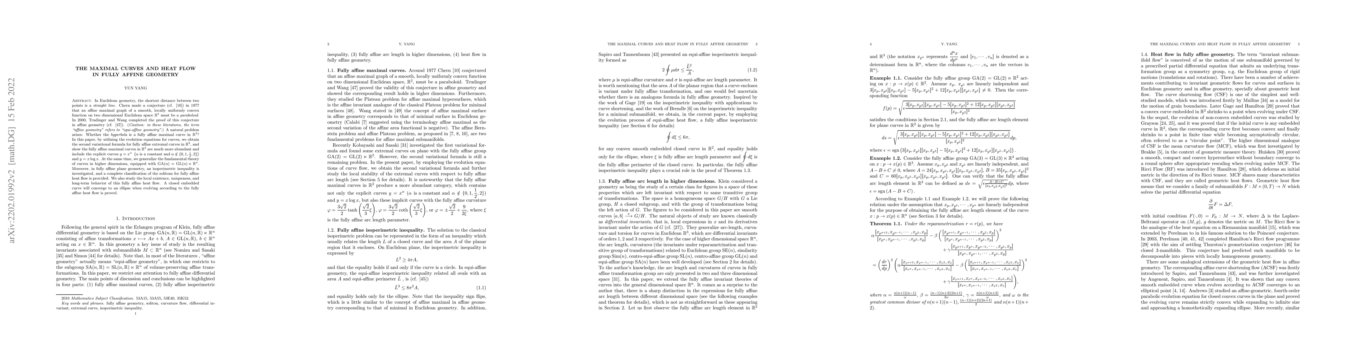 Thumbnail for The maximal curves and heat flow in fully affine geometry